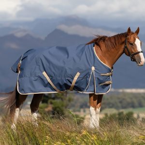 Horse with Neptune Rain sheet