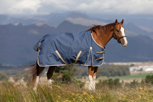 Horse with Neptune Rain sheet